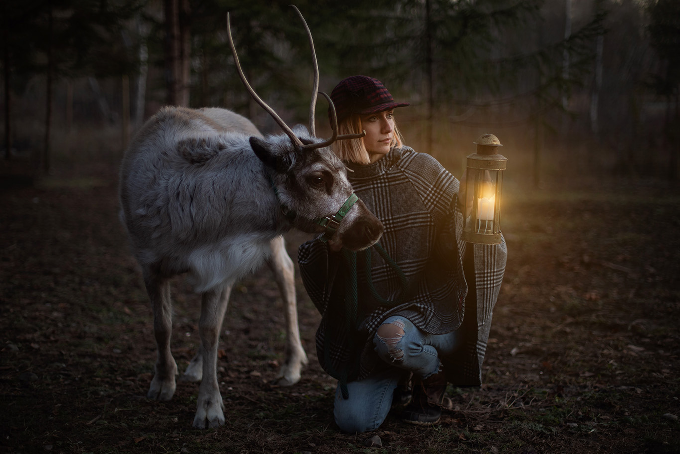 child reindeer photo